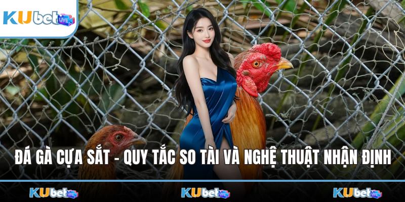 Đá Gà Cựa Sắt