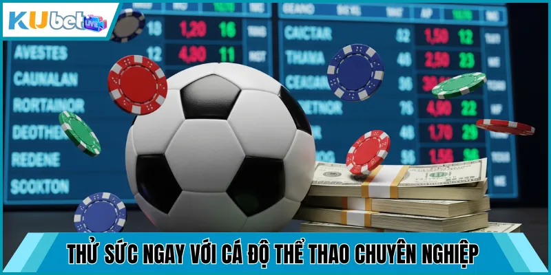 Thử sức ngay với dịch vụ cá độ thể thao chuyên nghiệp
