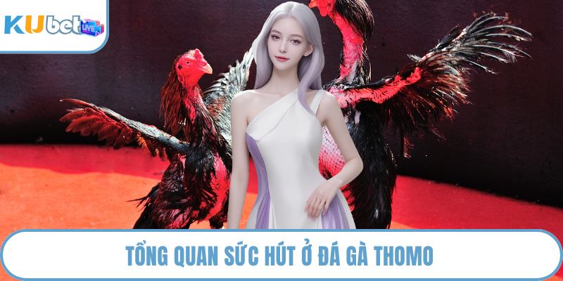 Tổng quan sức hút ở đá gà Thomo