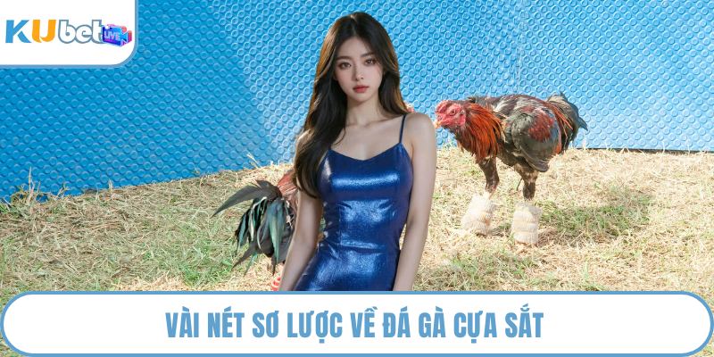 Vài nét sơ lược về đá gà cựa sắt